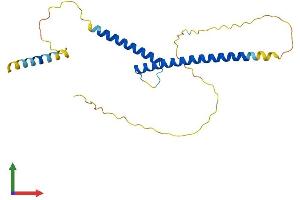 AlphaFold protein structure predicition of Mouse Recombinant Mxd1 Protein, UniprotID P50538 (MXD1 Protein (AA 1-227) (His tag))