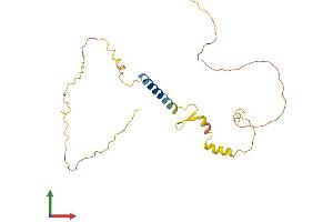 AlphaFold protein structure predicition of Mouse Recombinant Caly Protein, UniprotID Q9DCA7 (CALY Protein (AA 1-226) (His tag))