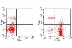 Flow Cytometry (FACS) image for anti-CD19 Molecule (CD19) antibody (PE) (ABIN6657888)