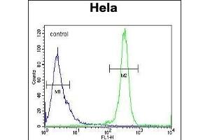 DEN5A Antibody (Center) (ABIN654470 and ABIN2844204) flow cytometric analysis of Hela cells (right histogram) compared to a negative control cell (left histogram). (DENND5A antibody  (AA 695-724))
