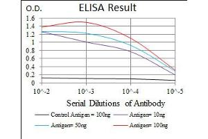 Image no. 6 for anti-Sonic Hedgehog (SHH) antibody (ABIN1491290)