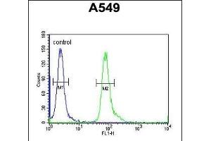 C Antibody (Center) (ABIN654949 and ABIN2844590) flow cytometric analysis of A549 cells (right histogram) compared to a negative control cell (left histogram). (FAM46D antibody  (AA 210-239))