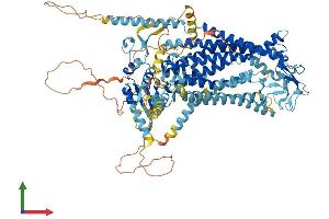 AlphaFold protein structure predicition of Human Recombinant ANO2 Protein, UniprotID Q9NQ90