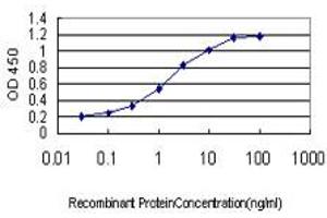 Detection limit for recombinant GST tagged RBP4 is approximately 0. (RBP4 antibody  (AA 19-201))