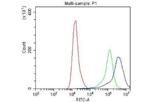 Flow Cytometry analysis of A549 cells using anti-IFNGR1 antibody . (IFNGR1 antibody  (C-Term))