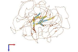 AlphaFold protein structure predicition of Human Recombinant SPATA31A6 Protein, UniprotID Q5VVP1 (FAM75A6 Protein (AA 1-1343) (His tag))