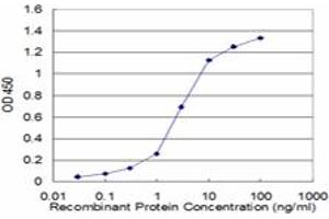 Detection limit for recombinant GST tagged PPP2R2C is approximately 0. (PPP2R2C antibody  (AA 1-110))