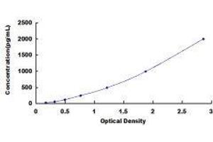 Chemokine (C-X-C Motif) Ligand 5 (CXCL5) ELISA Kit