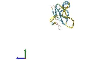 Protein Structure (PS) image for Early Endosome Antigen 1 (EEA1) (AA 1-1411) protein (His tag) (ABIN7553796)