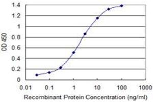 Detection limit for recombinant GST tagged FOXA3 is 0. (FOXA3 antibody  (AA 266-350))