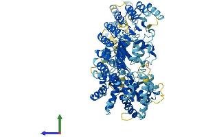 AlphaFold protein structure predicition of Mouse Recombinant Nlrp4b Protein, UniprotID Q8C6J9 (Nlrp4b Protein (AA 1-863) (His tag))