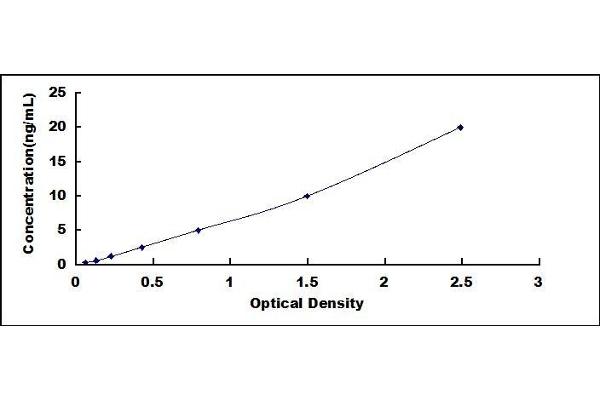 ABCC8 ELISA Kit