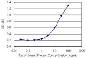 Detection limit for recombinant GST tagged MICAL3 is 0. (MICAL3 antibody  (AA 251-340))