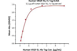 Immobilized Human VEGF R3, Fc Tag (ABIN5526635,ABIN5526636) at 5 μg/mL (100 μL/well) can bind Human VEGF-D, His Tag (ABIN2181913) with a linear range of 0. (FLT4 Protein (AA 25-776) (Fc Tag))