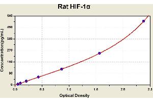 Diagramm of the ELISA kit to detect Rat H1 F-1alphawith the optical density on the x-axis and the concentration on the y-axis. (HIF1A ELISA Kit)