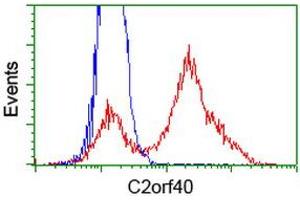 HEK293T cells transfected with either RC206239 overexpress plasmid (Red) or empty vector control plasmid (Blue) were immunostained by anti-C2orf40 antibody (ABIN2454466), and then analyzed by flow cytometry. (C2orf40 antibody)