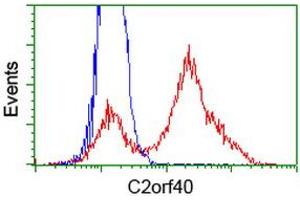 HEK293T cells transfected with either RC206239 overexpress plasmid (Red) or empty vector control plasmid (Blue) were immunostained by anti-C2orf40 antibody (ABIN2454466), and then analyzed by flow cytometry.