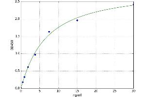 A typical standard curve