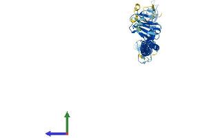 Protein Structure (PS) image for Tripartite Motif Containing 43B (TRIM43B) (AA 1-446) protein (His tag) (ABIN7544769)