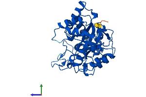 AlphaFold protein structure predicition of Human Recombinant AKR1C2 Protein, UniprotID P52895 (AKR1C2 Protein (AA 1-323) (His tag))