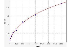 Typical standard curve (Neurotrophin 3 ELISA Kit)