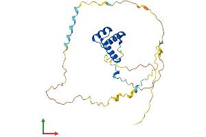 AlphaFold protein structure predicition of Human Recombinant HOXB4 Protein, UniprotID P17483