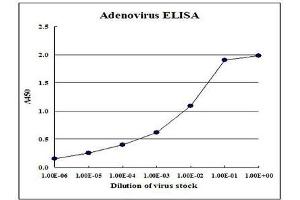 Sandwich ELISA Calibration curve for Type 5 adenovirus Hexon antigen determination in recombinant virus stock. (Human Adenovirus Hexon (HAdV Hexon) antibody)