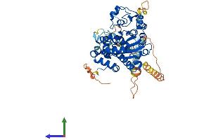 AlphaFold protein structure predicition of Human Recombinant CHST7 Protein, UniprotID Q9NS84