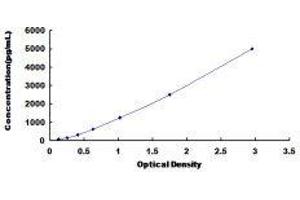 Chemokine (C-C Motif) Ligand 18 (Pulmonary and Activation-Regulated) (CCL18) ELISA Kit