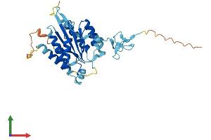 Protein Structure (PS) image for General Transcription Factor IIH, Polypeptide 3, 34kD (GTF2H3) (AA 1-308) protein (His tag) (ABIN7544372)