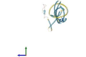 Protein Structure (PS) image for Early Endosome Antigen 1 (EEA1) (AA 1-1411) protein (His tag) (ABIN7564383)