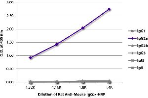 ELISA plate was coated with purified mouse IgG1, IgG2a, IgG2b, IgG3, IgM, and IgA. (Rat anti-Mouse IgG2a Antibody (HRP))
