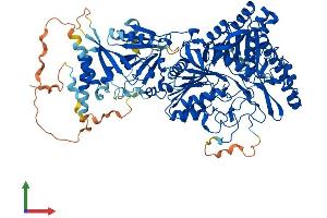 AlphaFold protein structure predicition of Human Recombinant PLD2 Protein, UniprotID O14939