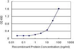 Sandwich ELISA detection sensitivity ranging from 1 ng/mL to 100 ng/mL. (DDAH1 (Human) Matched Antibody Pair)