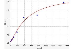 KEAP1 ELISA Kit