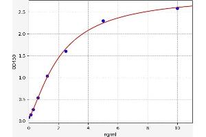 ELOVL1 ELISA Kit