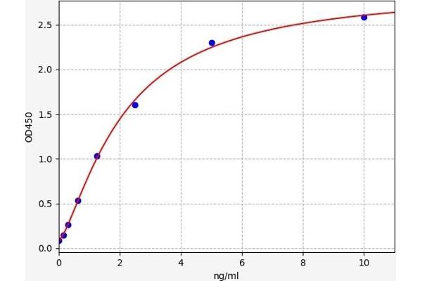 ELOVL1 ELISA Kit