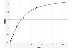 Typical standard curve (ELOVL1 ELISA Kit)