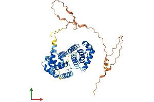 Protein Structure (PS) image for Cyclin I (CCNI) (AA 1-377) protein (His tag) (ABIN7556448)