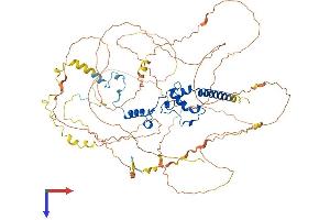 AlphaFold protein structure predicition of Human Recombinant DNTTIP2 Protein, UniprotID Q5QJE6 (DNTTIP2 Protein (AA 1-756) (His tag))