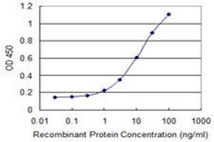 Detection limit for recombinant GST tagged MOXD1 is 0. (MOXD1 antibody  (AA 21-120))