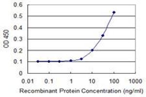 Detection limit for recombinant GST tagged GK5 is 3 ng/ml as a capture antibody. (GK5 antibody  (AA 1-89))