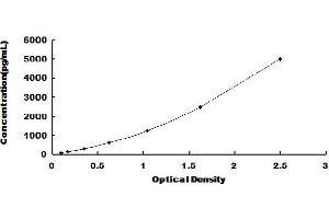 Typical Standard Curve (PLA2G6 ELISA Kit)