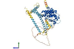 AlphaFold protein structure predicition of Human Recombinant DTNB Protein, UniprotID O60941