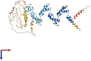 AlphaFold protein structure predicition of Human Recombinant ZNF677 Protein, UniprotID Q86XU0 (ZNF677 Protein (AA 1-584) (His tag))