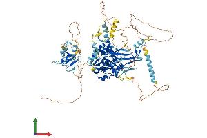 AlphaFold protein structure predicition of Human Recombinant USP16 Protein, UniprotID Q9Y5T5 (USP16 Protein (AA 1-823) (His tag))
