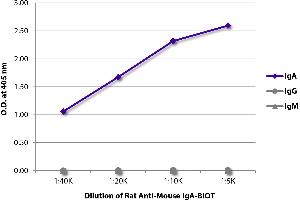 ELISA plate was coated with purified mouse IgM, IgG, and IgA. (Rat anti-Mouse IgA Antibody (Biotin))