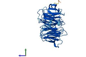 Protein Structure (PS) image for WD Repeat Domain 45B (WDR45B) (AA 1-344) protein (His tag) (ABIN7545169)