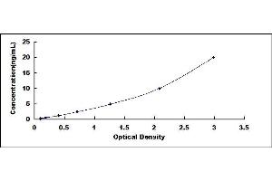 Typical standard curve (APOBEC3B ELISA Kit)