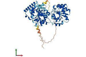AlphaFold protein structure predicition of Human Recombinant PIGA Protein, UniprotID P37287 (PIGA Protein (AA 1-484) (His tag))